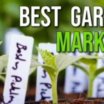 The 10 Best Plant Markers of 2023 for a Thriving Garden