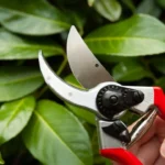 The 12 Best Pruning Shears of 2023 to Keep Your Garden in Check